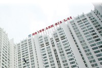 HAG: băn khoăn của NĐT tổ chức